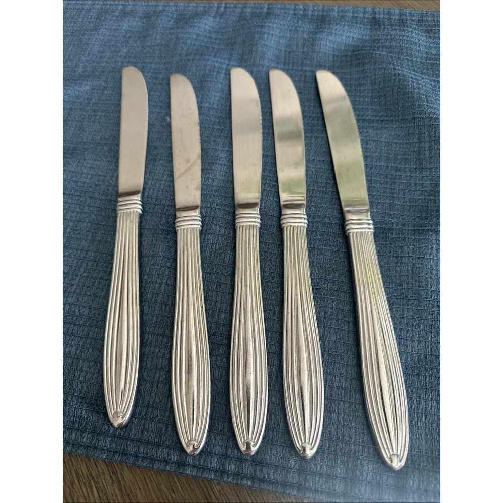 Pfaltzgraff Mackenzie Stainless Steel Flatware Dinner Knife Set Of 5‎ RARE